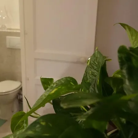 House Vintage Bed & Breakfast Catania