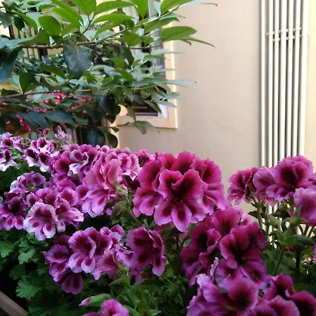 House Vintage Bed & Breakfast Catania